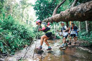 BIB: 
                            <button type="button" onclick="openModal(25373265)" class="btn btn-primary btn-sm float-right btn-popup" data-toggle="modal" data-target=".modal-high-quality">
                        <i class="fas fa-shopping-cart"></i> Add to Cart
                    </button>
                                            <button type="button" onclick="isThisMe(25373265, true)" class="btn btn-success btn-sm float-right btn-popup btn-isme hidden" data-toggle="tooltip" data-placement="bottom" title="นี่คือรูปของคุณใช่ไหม คลิกที่นี่เพื่อเอาเข้าอัลบั้ม">
                        <i class="fas fa-plus"></i> Add to album
                    </button>
                    <button type="button" onclick="isThisMe(25373265, false)" class="btn btn-warning btn-sm float-right btn-popup btn-isnotme hidden">
                        <i class="fas fa-ban"></i> Remove from album
                    </button>